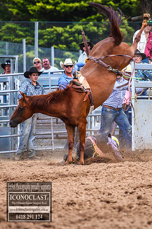 TaralgaRodeo2018_5555