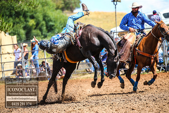 TaralgaRodeo2018_5421