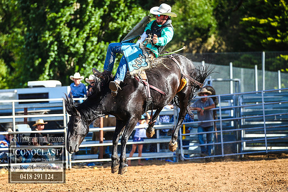 TaralgaRodeo2018_7725