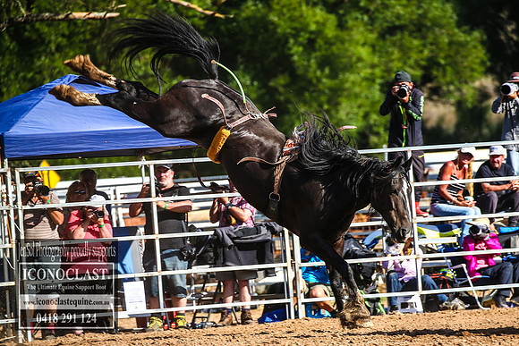 TaralgaRodeo2018_7686