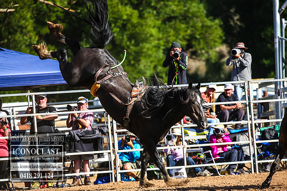 TaralgaRodeo2018_7685