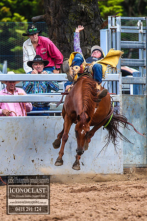 TaralgaRodeo2018_5536