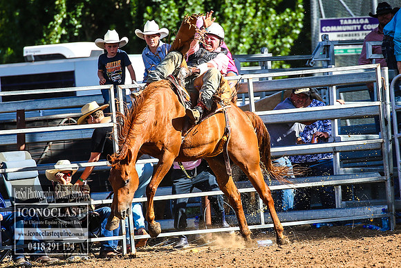 TaralgaRodeo2018_7478