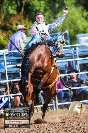 TaralgaRodeo2018_7541