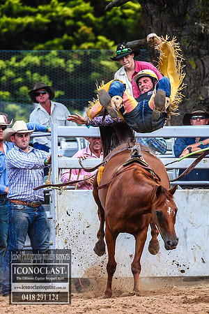 TaralgaRodeo2018_5548
