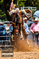 TaralgaRodeo2018_5449