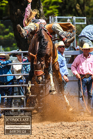 TaralgaRodeo2018_5449