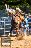 TaralgaRodeo2018_5459