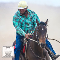 AdaminabyCampdraft2019_6224