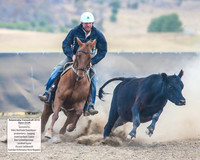 AdaminabyCampdraft2019_6261