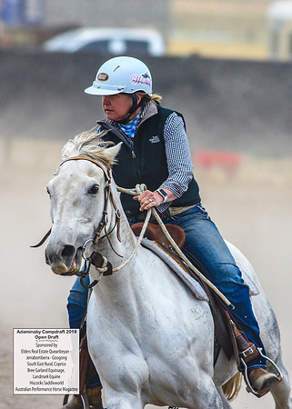 AdaminabyCampdraft2019_6369