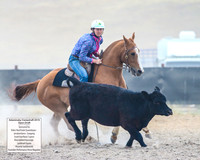 AdaminabyCampdraft2019_6247