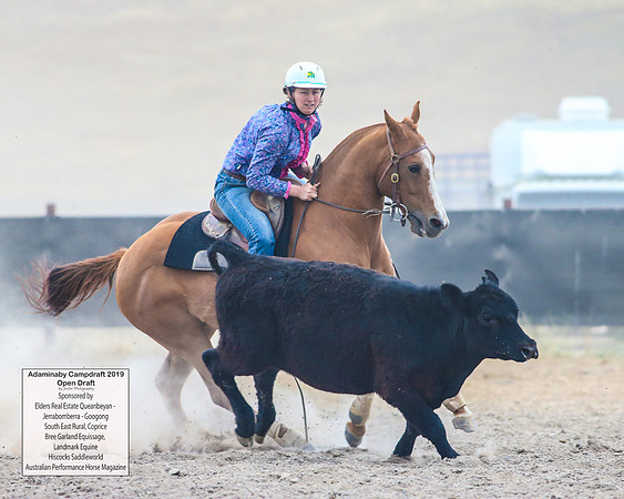 AdaminabyCampdraft2019_6247