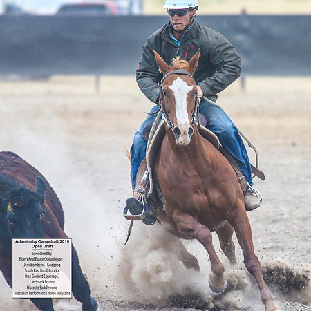 AdaminabyCampdraft2019_6448