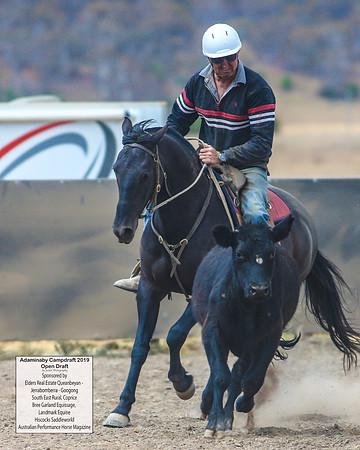 AdaminabyCampdraft2019_6541