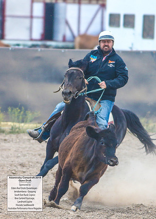 AdaminabyCampdraft2019_6387