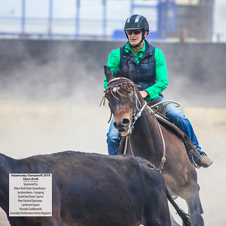AdaminabyCampdraft2019_6398