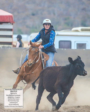 AdaminabyCampdraft2019_6234
