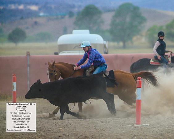 AdaminabyCampdraft2019_6251