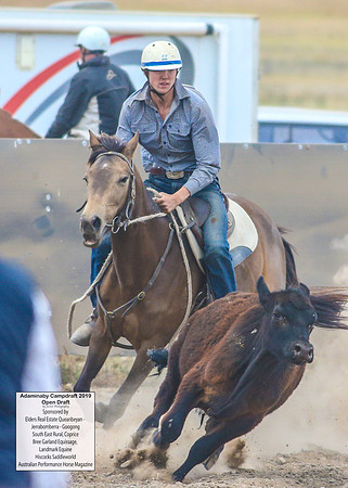 AdaminabyCampdraft2019_6363