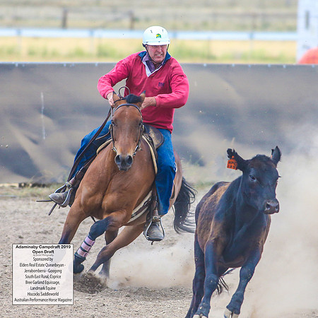 AdaminabyCampdraft2019_6434
