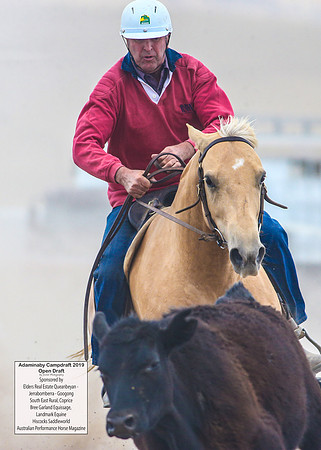 AdaminabyCampdraft2019_6322