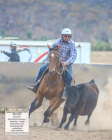 AdaminabyCampdraft2019_6228