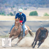 AdaminabyCampdraft2019_6194