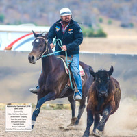 AdaminabyCampdraft2019_6252
