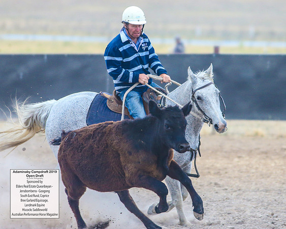 AdaminabyCampdraft2019_6360