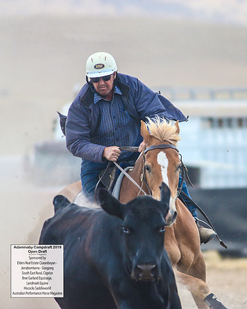 AdaminabyCampdraft2019_6279