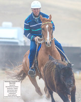 AdaminabyCampdraft2019_6185