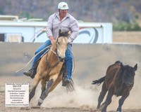 AdaminabyCampdraft2019_6287