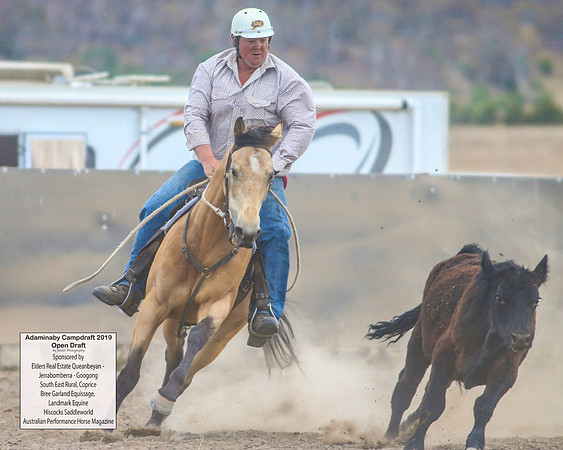 AdaminabyCampdraft2019_6287