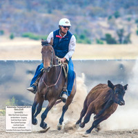 AdaminabyCampdraft2019_6198