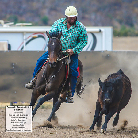 AdaminabyCampdraft2019_6544