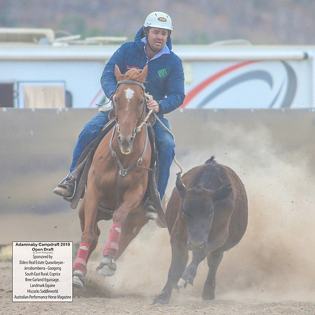 AdaminabyCampdraft2019_6330