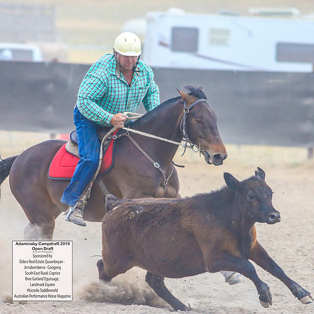 AdaminabyCampdraft2019_6423