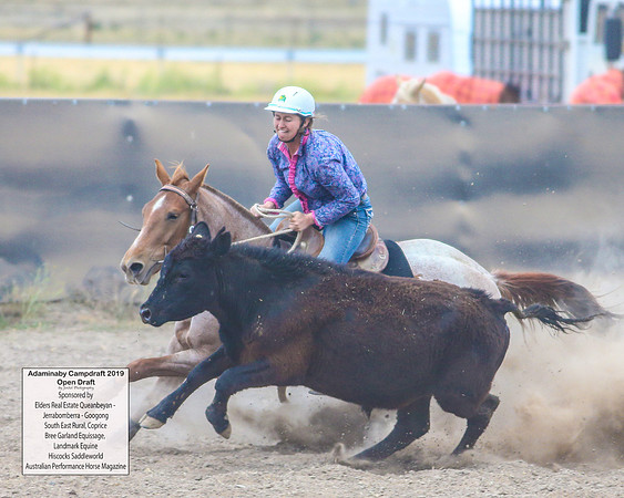 AdaminabyCampdraft2019_6454