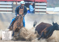 AdaminabyCampdraft2019_6293