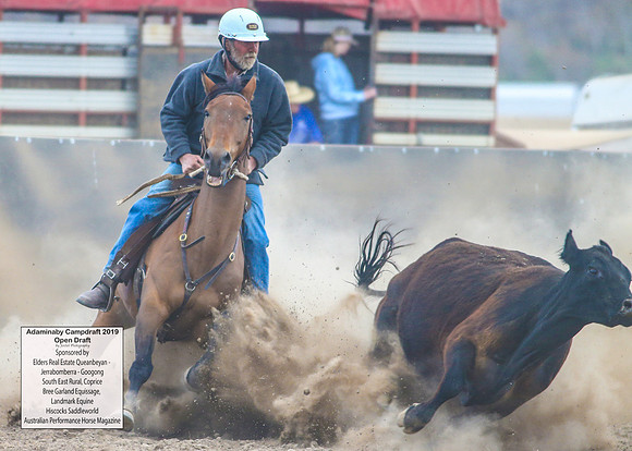 AdaminabyCampdraft2019_6293