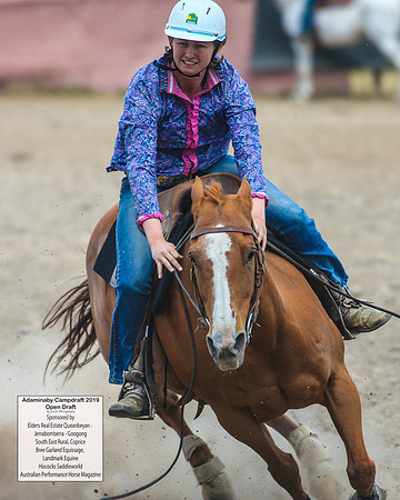 AdaminabyCampdraft2019_6513