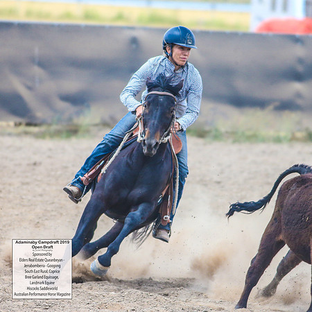 AdaminabyCampdraft2019_6409