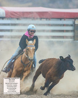 AdaminabyCampdraft2019_6235