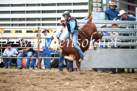 JindabyneRodeo2016_2780