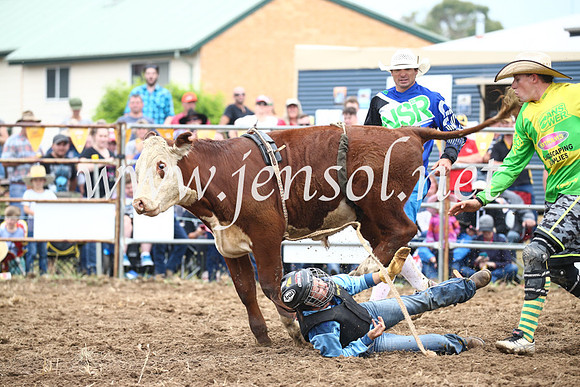 JindabyneRodeo2016_2822