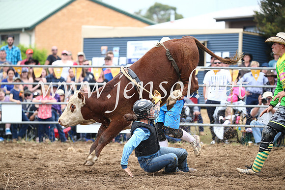 JindabyneRodeo2016_2825