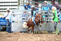 JindabyneRodeo2016_2787