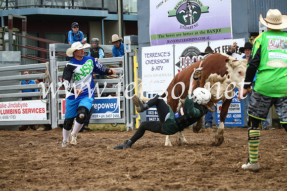 JindabyneRodeo2016-2769