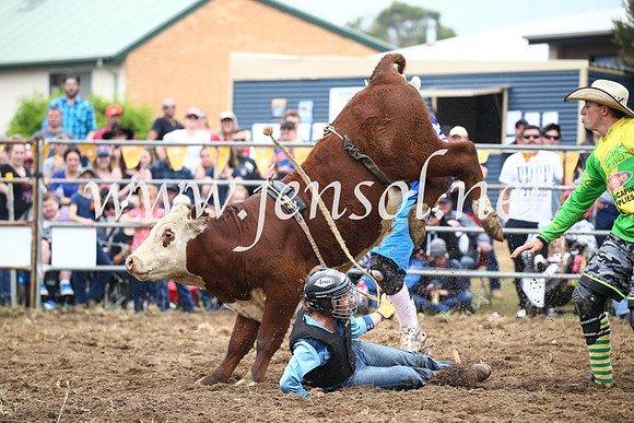 JindabyneRodeo2016_2824